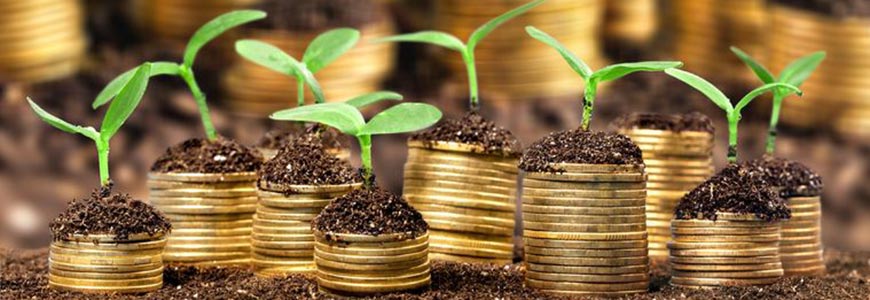 Gold coins with plants growing on top