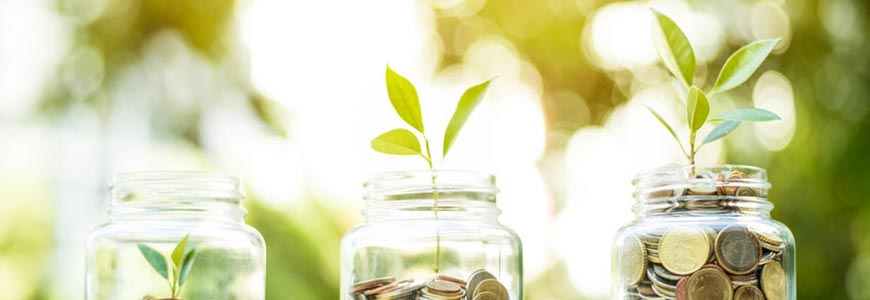 Three jars with coins and plants growing