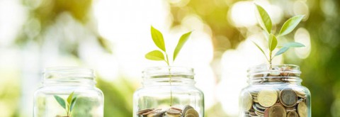 Three jars with coins and plants growing