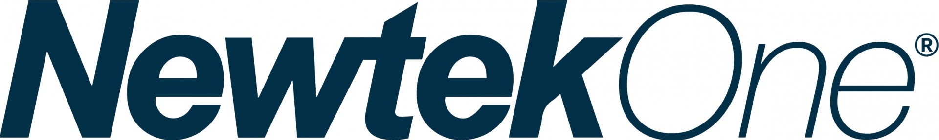 Newtek Business Services